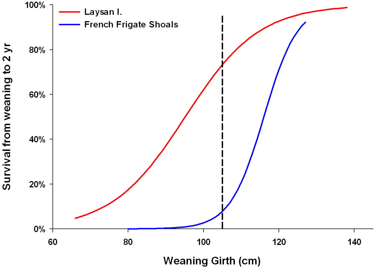 image6.png
