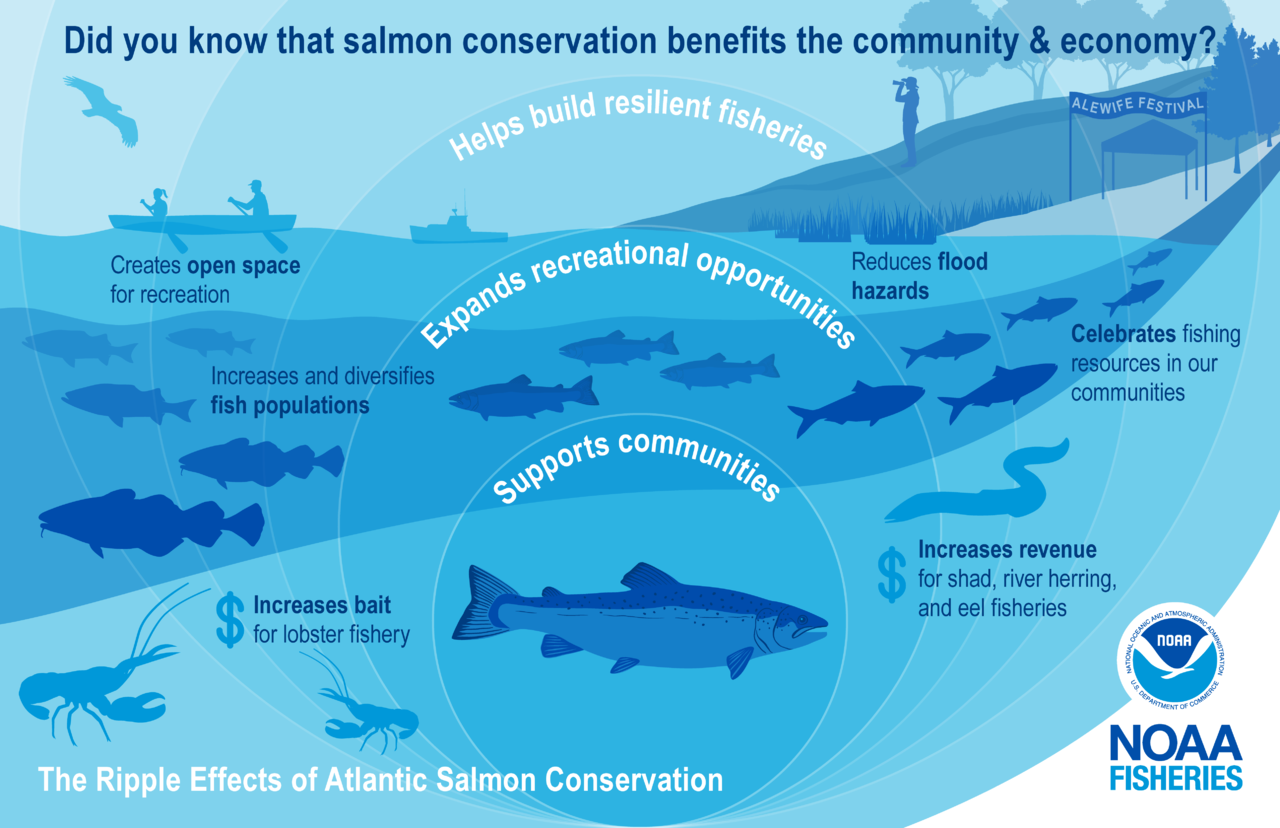 benefits of salmon conservation