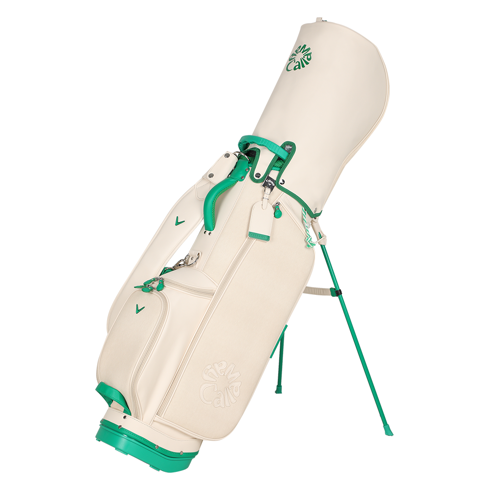 우먼스 스프링스 여성 스탠드백