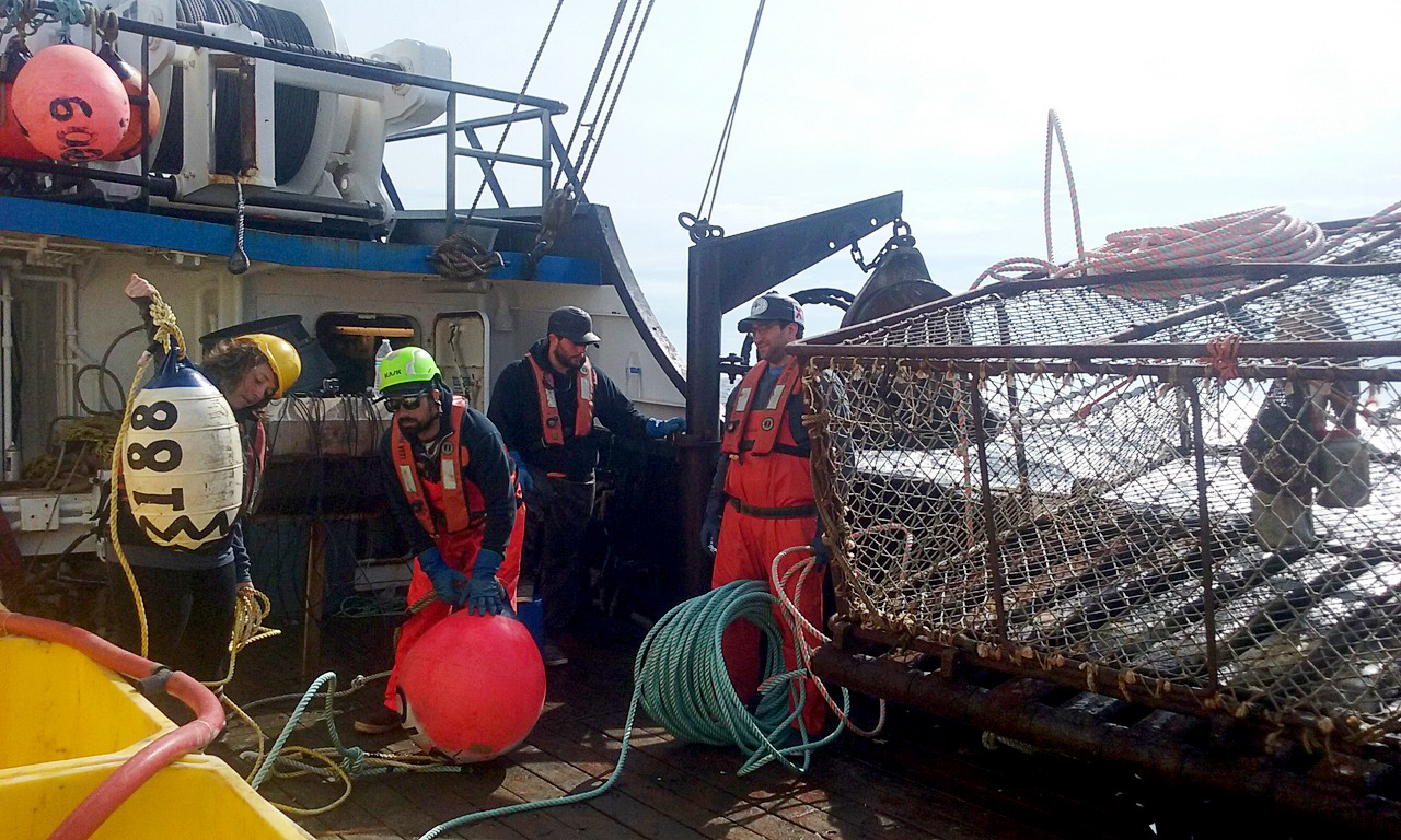 Tracking the Alaskan Red King Crab Post 3 NOAA Fisheries