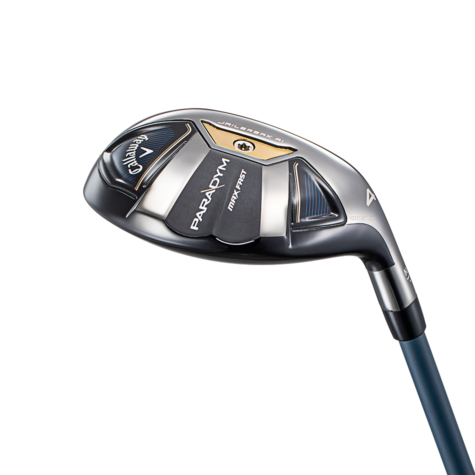 패러다임 맥스 패스트 하이브리드