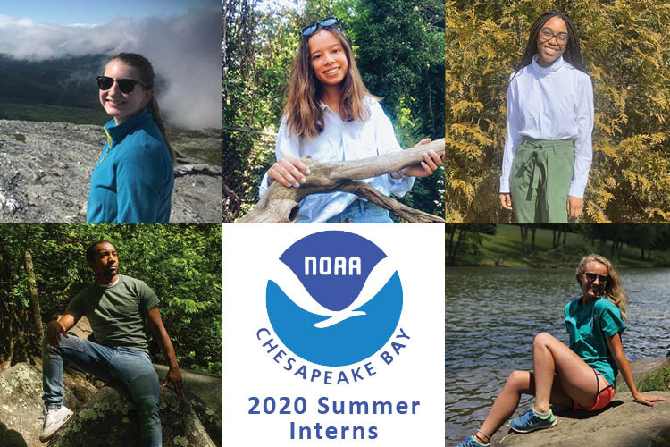 NCBO-2020-interns-group-photo.jpg