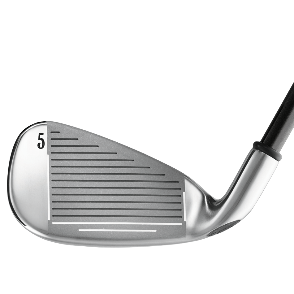 Big Bertha Irons (2002)