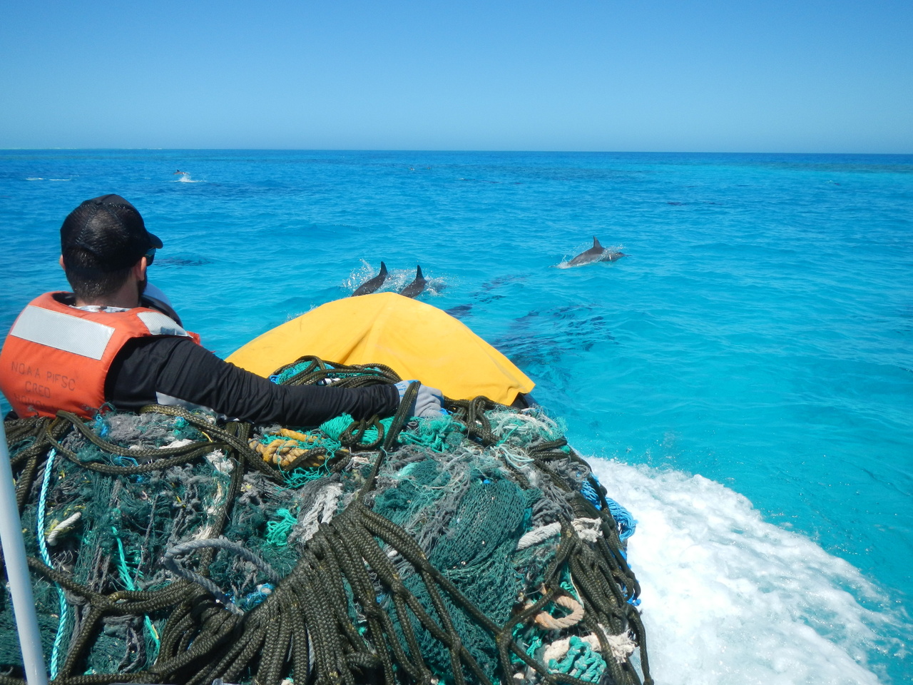 A group of Spinner Dolphins escorted the Marine Debris team during their 21 kilometer transit through the interior of Pearl and Hermes Atoll back to the NOAA Ship Hi'ialakai. On May 3, 2016 the team completed operations at Pearl and Hermes after removing 2,100 lbs of derelict fishing nets from the shoreline of Southeast Island. Photo: NOAA Fisheries