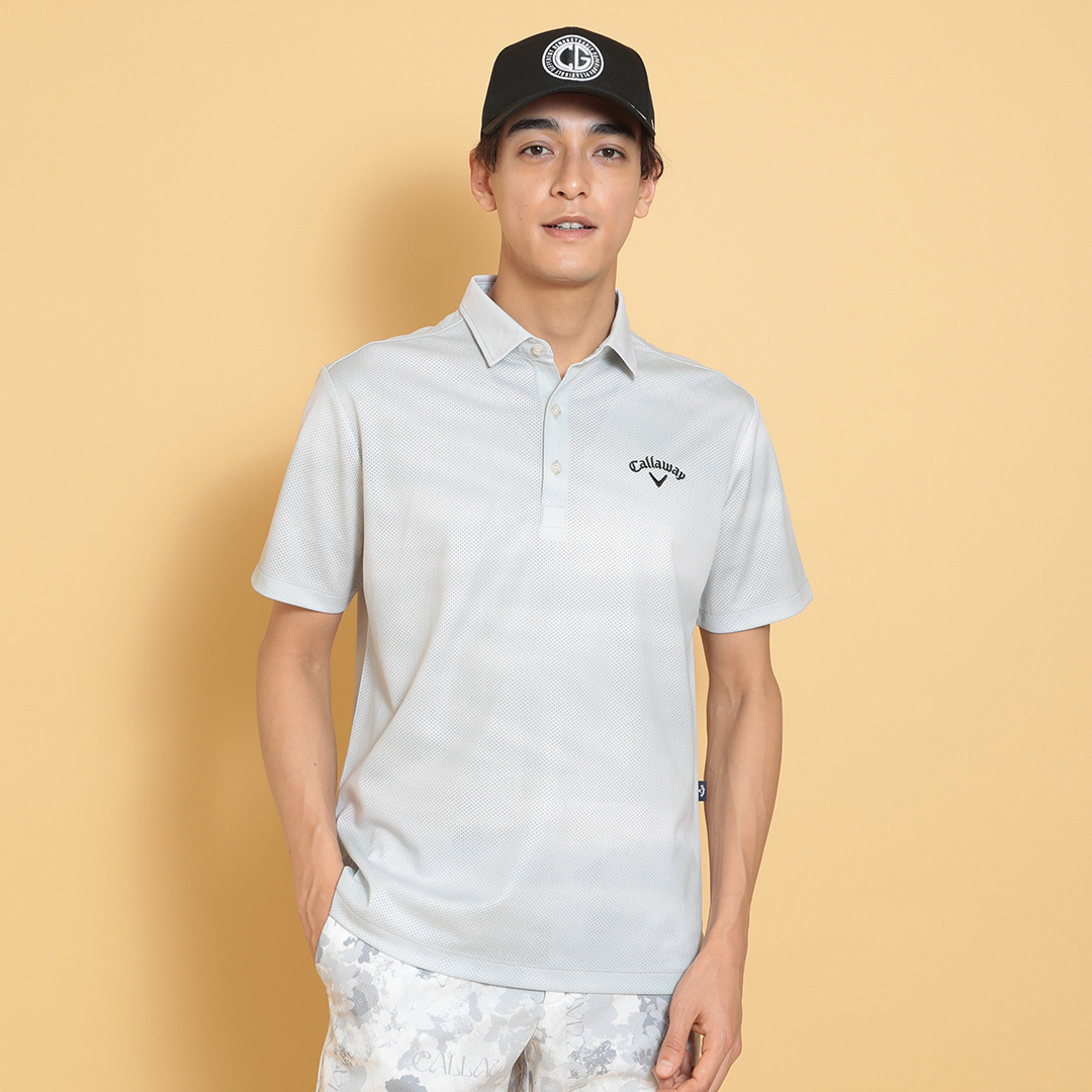 ドイツ製 Hutschenreuther ペールピーチ 金彩 美しいレリーフ5枚