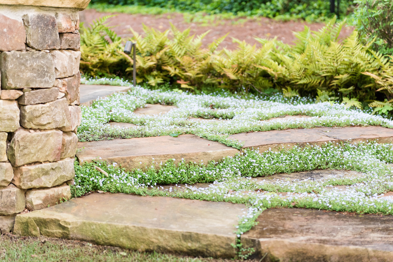 "As you get further from the house, irregular shaped stones are surrounded in creeping ground covers for seasonal interest," says John. "As you get further from the house, irregular shaped stones are surrounded in creeping ground covers for seasonal interest," says John.