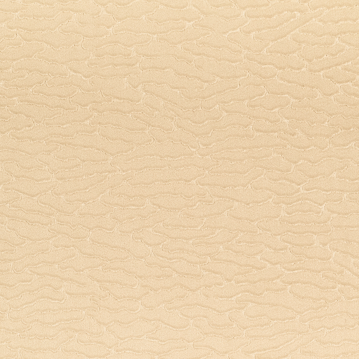 Velvet Dunes gallery 2
