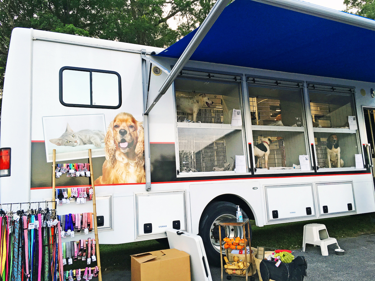The Greater Birmingham Humane Society brings their traveling truck of adorable, adoptable pups to the West Homewood Farmers Market. The Greater Birmingham Humane Society brings their traveling truck of adorable, adoptable pups to the West Homewood Farmers Market.
