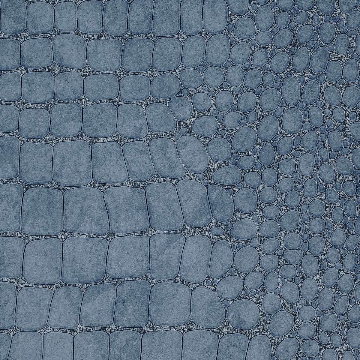 Vinyl Crocodile Rock Denim Wash