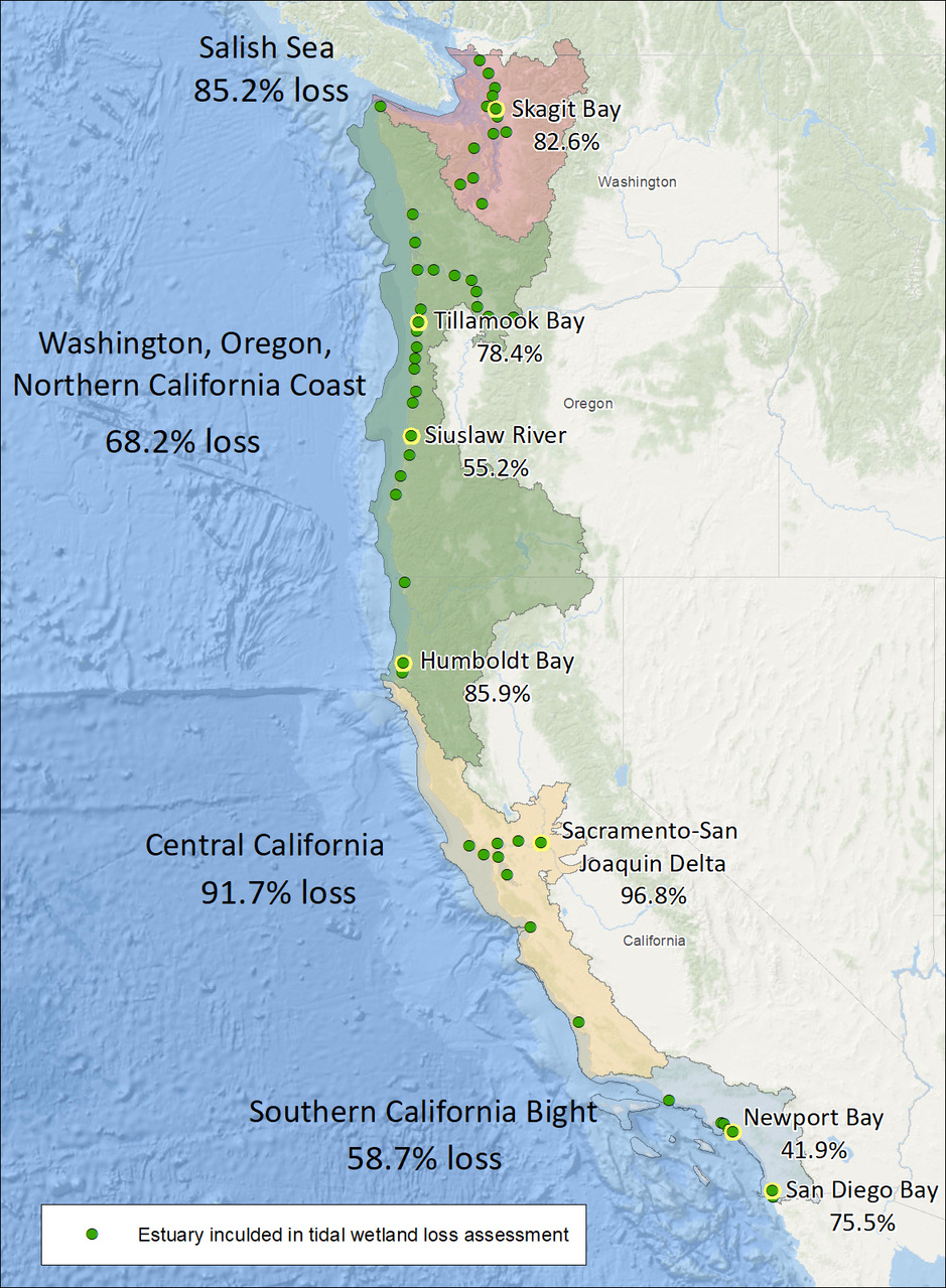 estuary-losses-on-west-coast.jpg