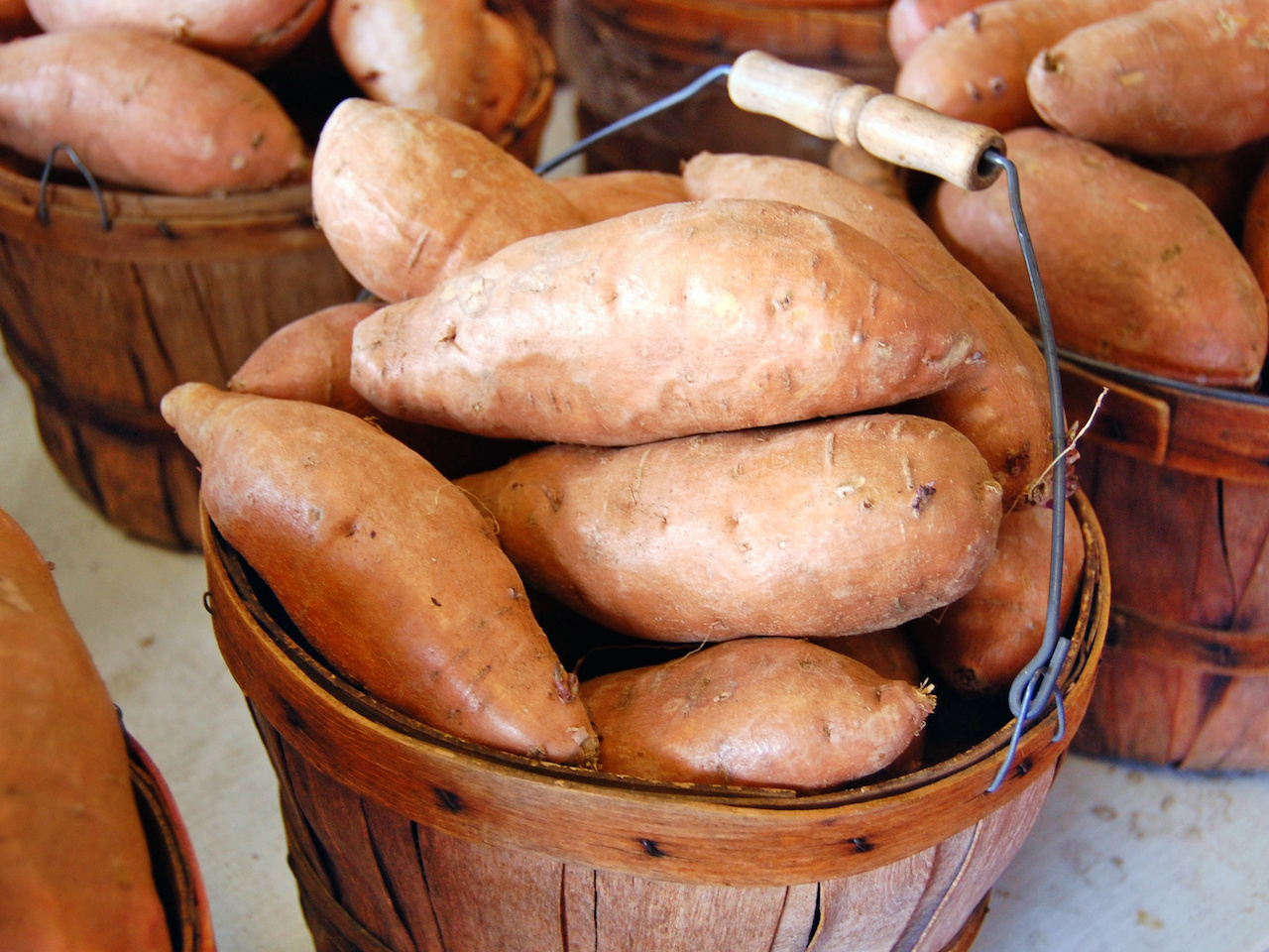 A cute little barrel of sweet potatoes at the Alabama Farmers Market A cute little barrel of sweet potatoes at the Alabama Farmers Market