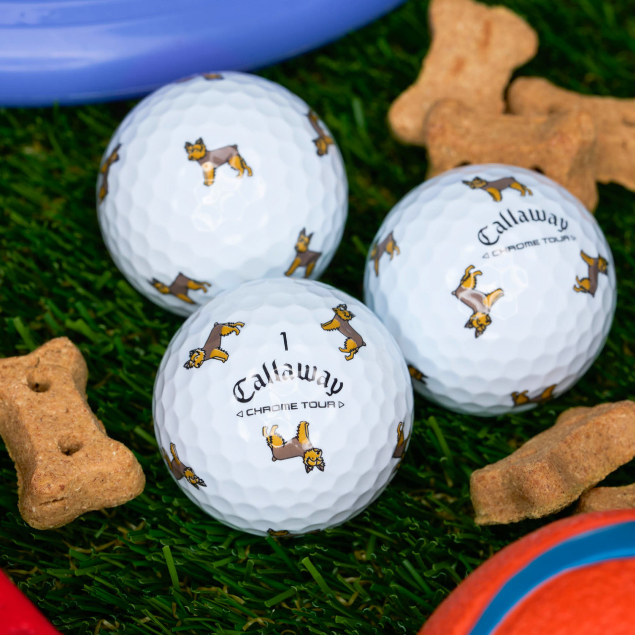 [온라인 단독] 크롬투어 트루비스 스몰독 에디션: 요키