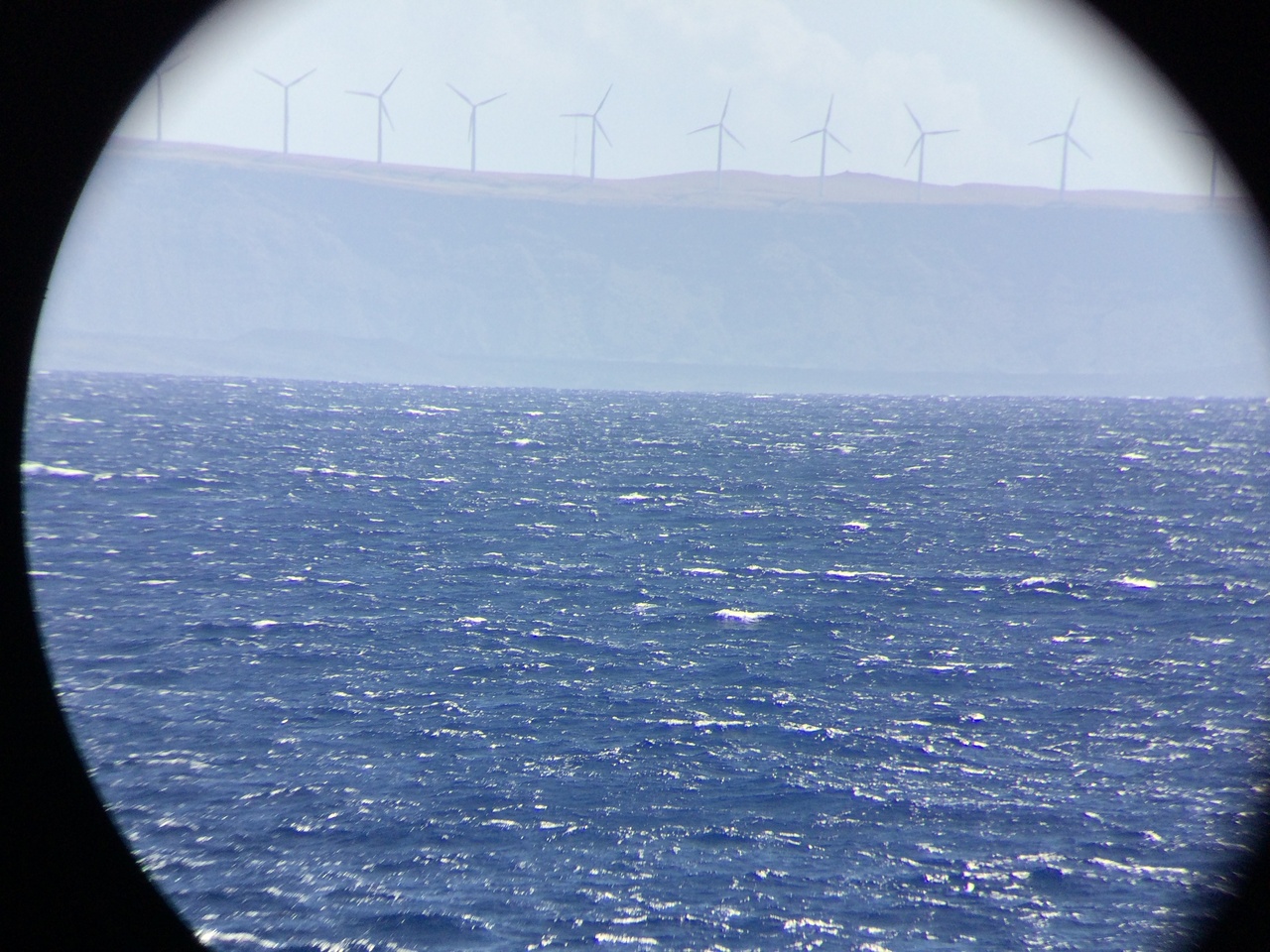 Pakani Nui Wind Farm seen from offshore near South Point on Hawai'i Island. Clean energy is an increasingly important way that our island communities generate power. One of our main funders for this WHICEAS cruise is the Bureau of Ocean Energy Management (BOEM), and they are very interested in developing projects for renewable energy. Photo: NOAA Fisheries/Suzanne Yin.