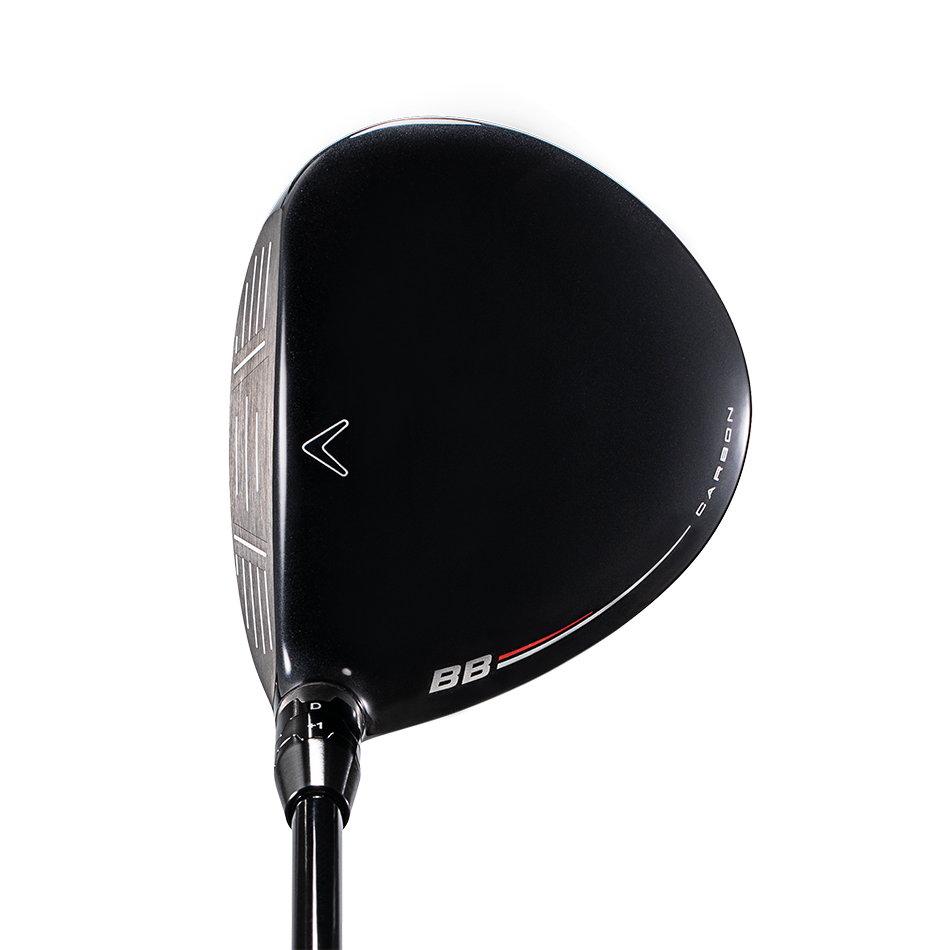 빅버사 페어웨이우드