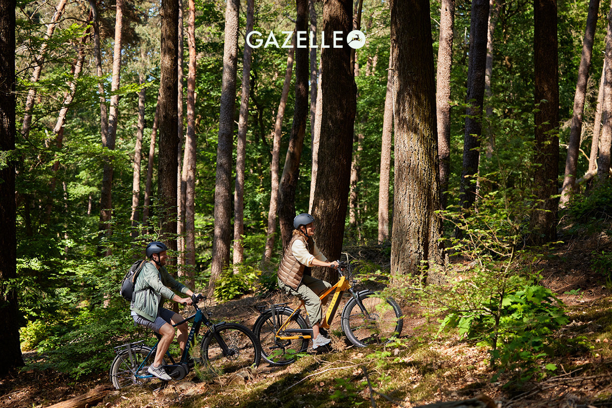 Gazelle Medeo electric bike