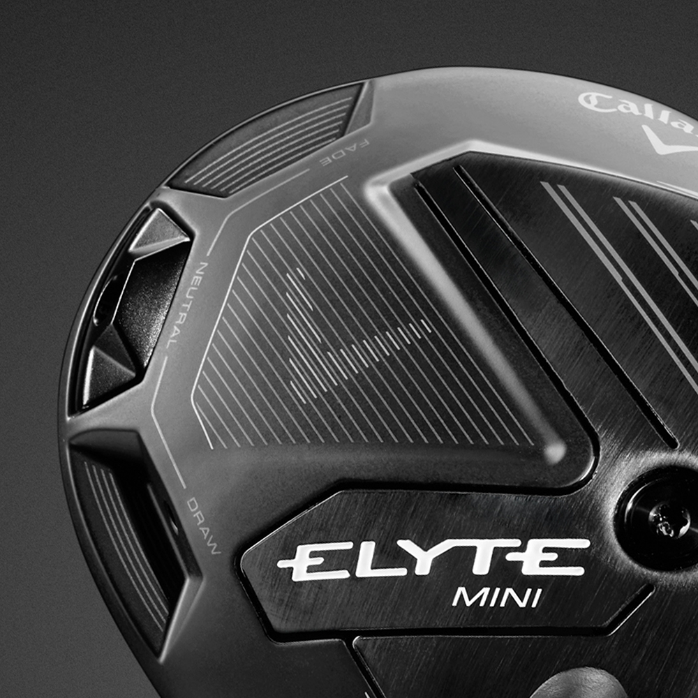 [온라인 단독] 엘리트 나이트에디션 미니 드라이버