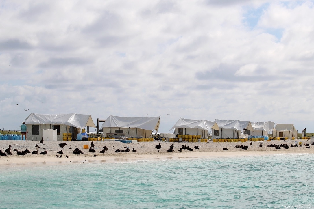 Science field camp at Pearl and Hermes Atoll.