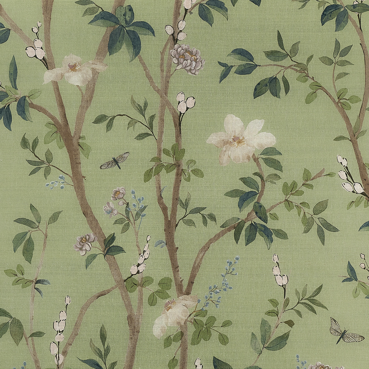 Jasmine gallery 2