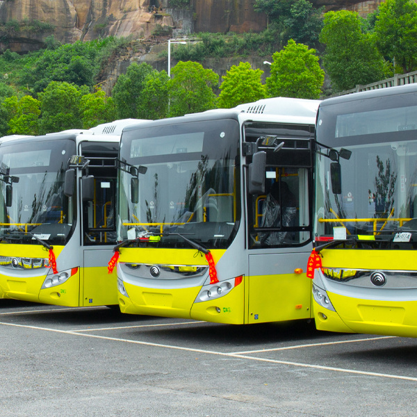 Three yellow buses parked