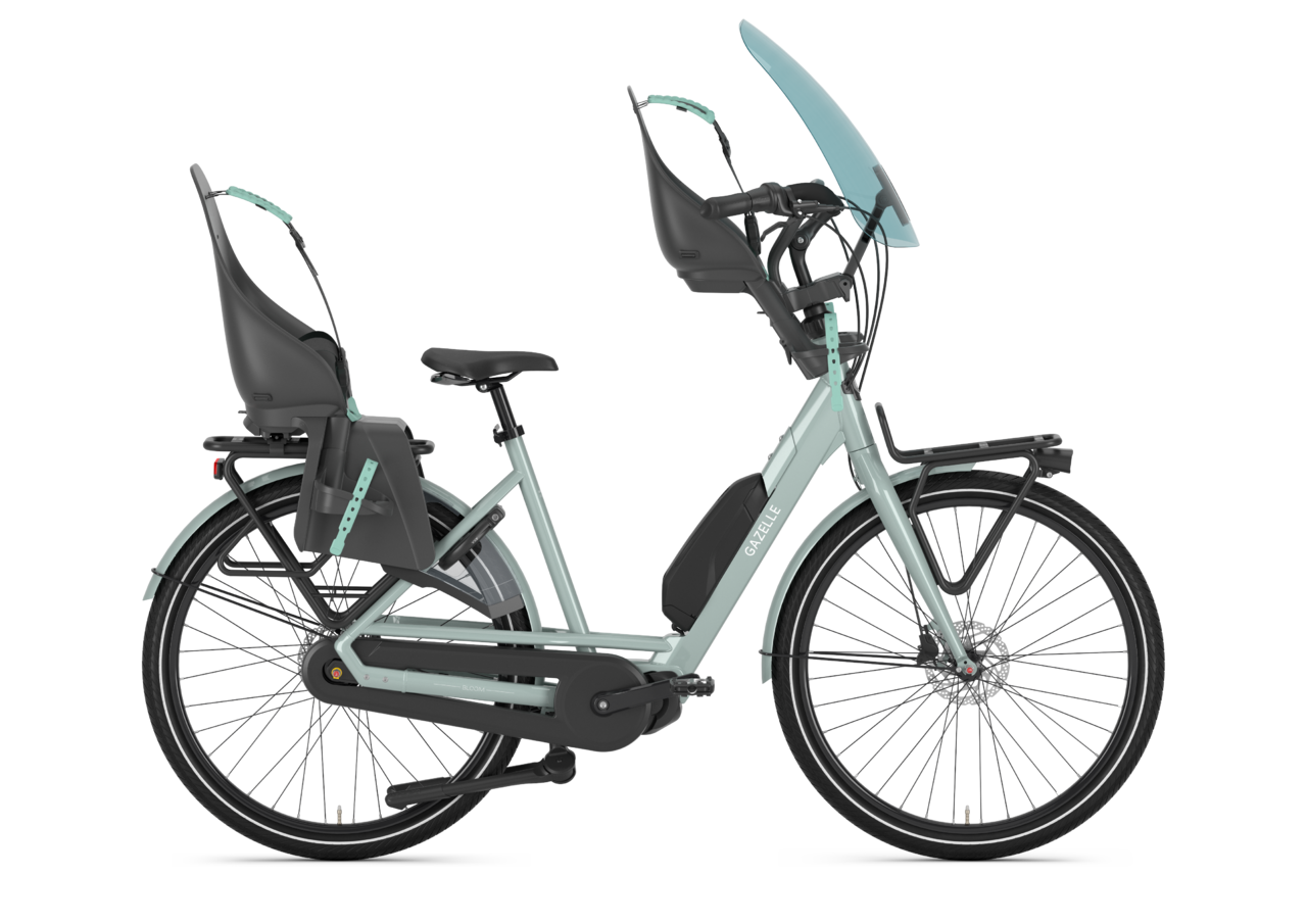 Gazelle Bloom C7