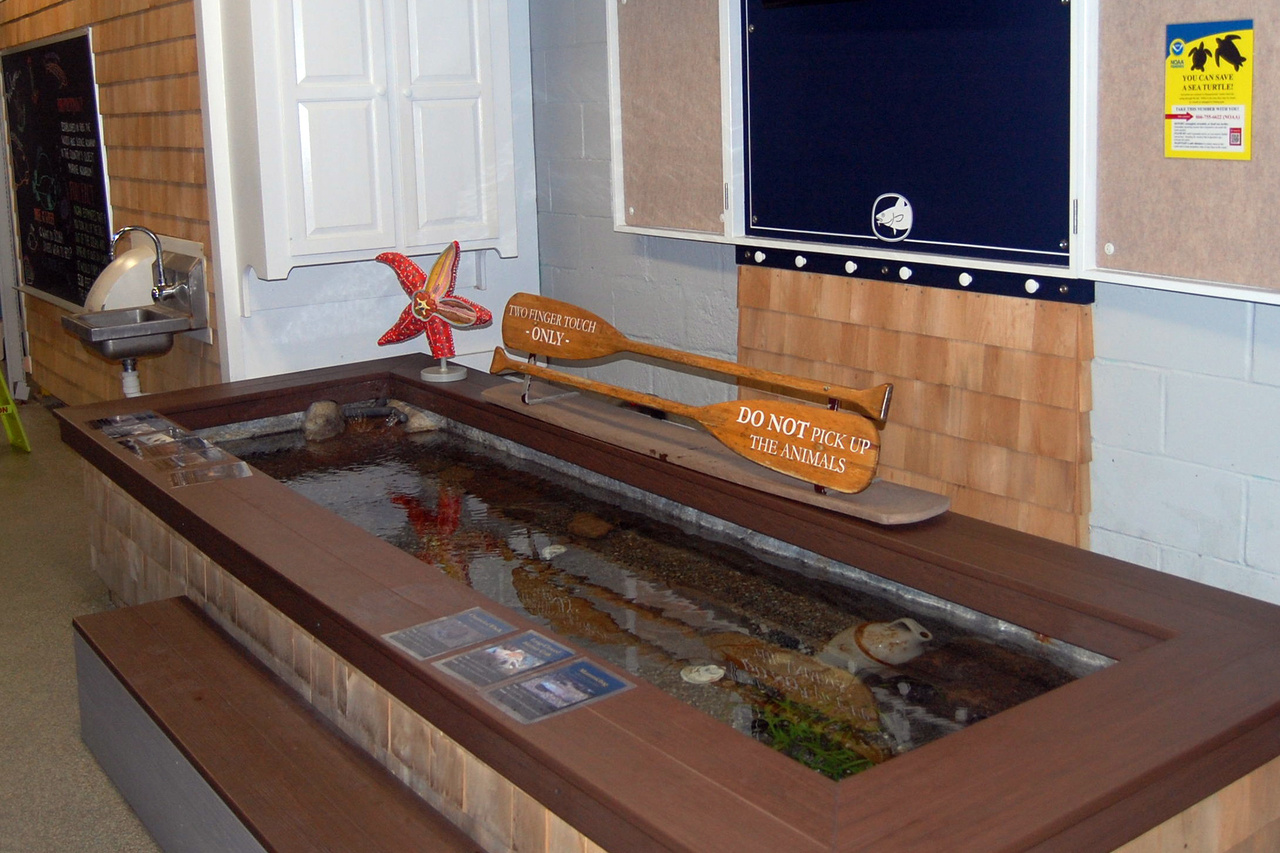 touch tank with oar
