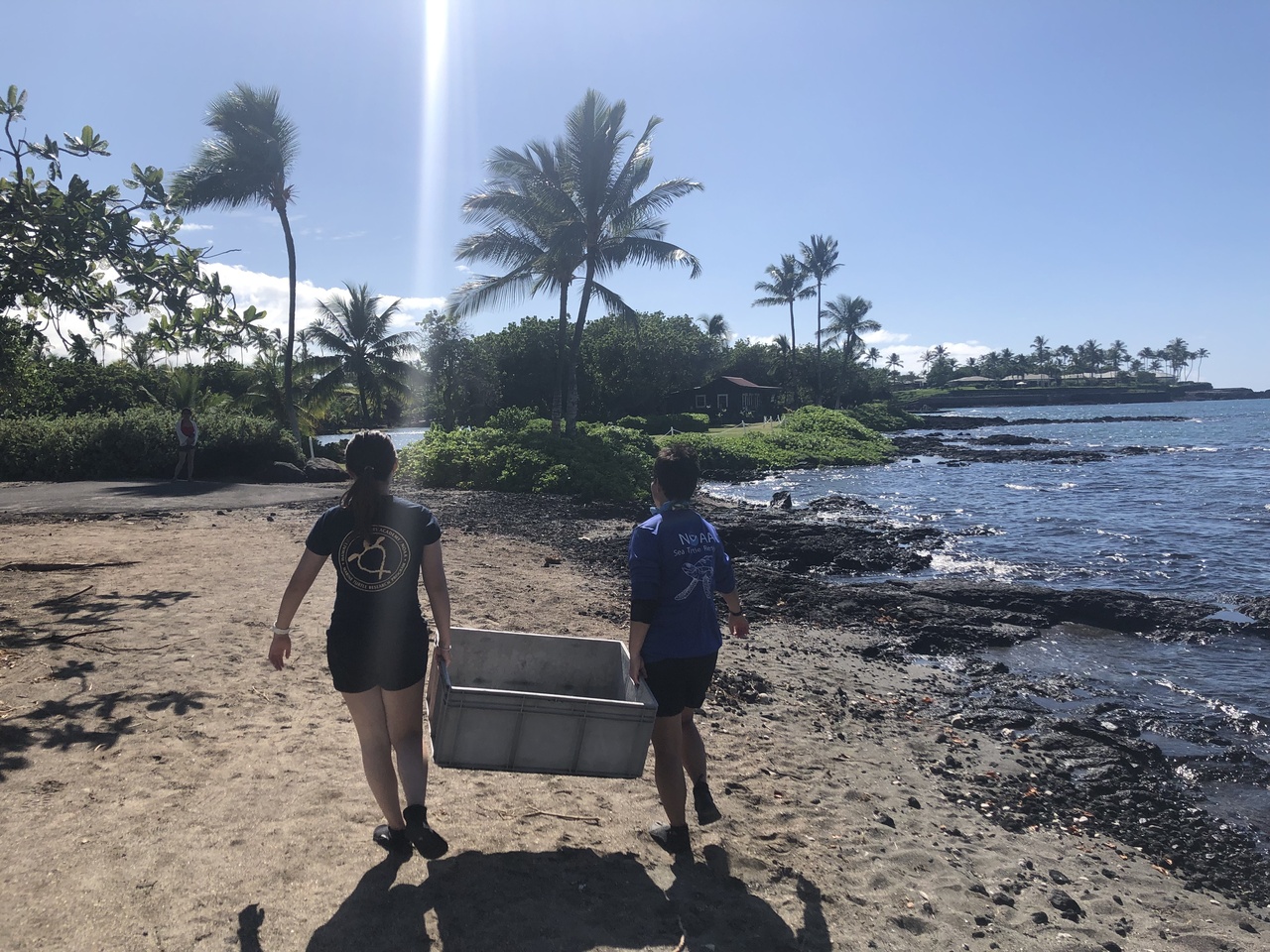 Students walking the beach
