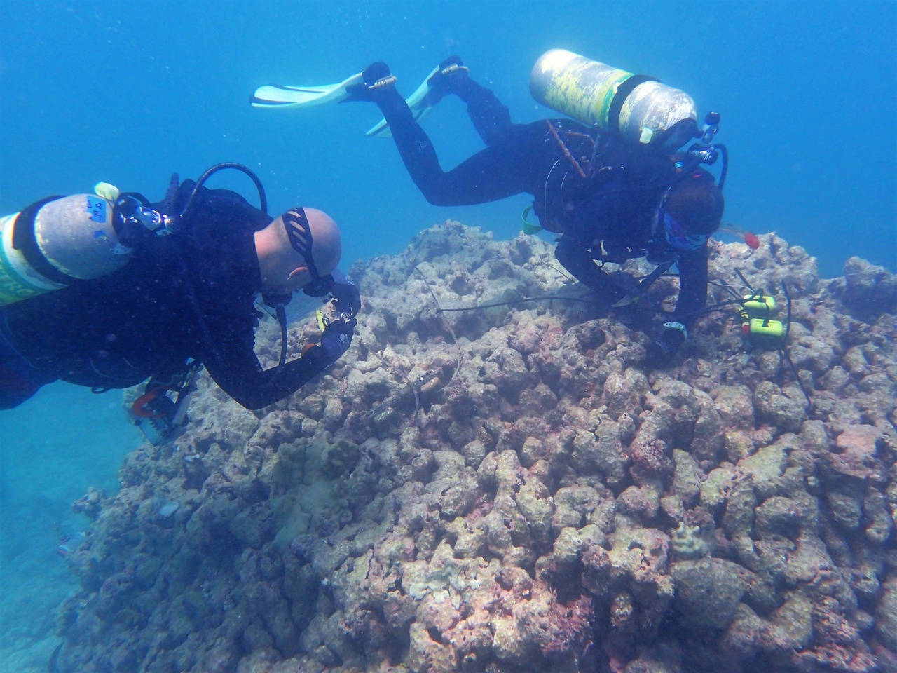 Team members Kerry Reardon and Ari Halperin retrieve and replace temperature loggers and conduct a bleaching survey at Lisianski. <i>photo: NOAA Fisheries/Jennifer Samson. </i>