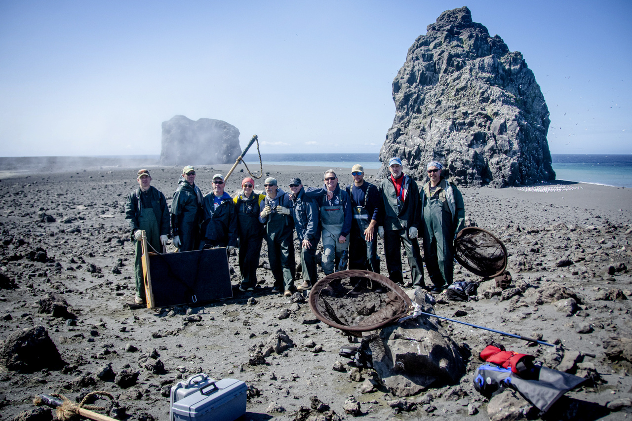 The 2019 survey team on Bogoslof Island.