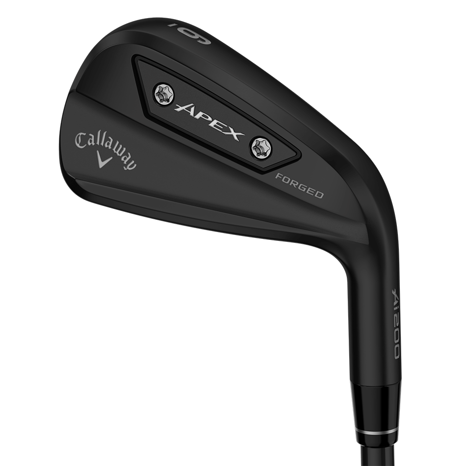 APEX Ai200 Black 아이언