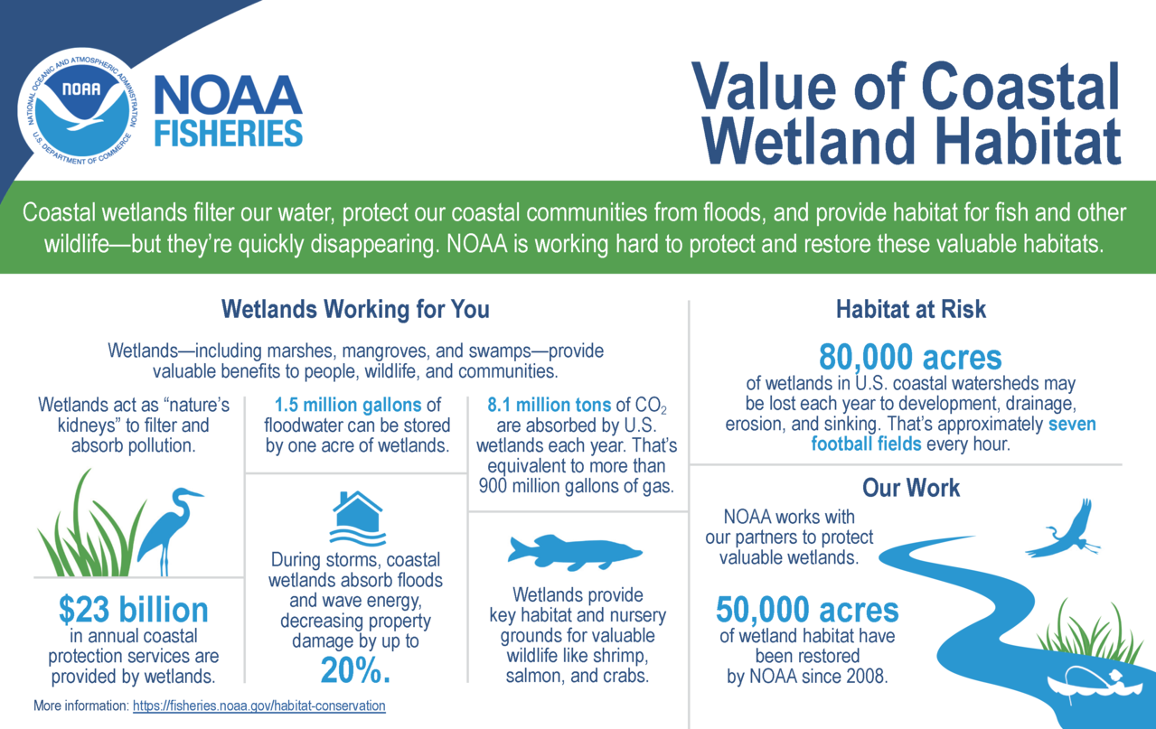 1Wetlands_Infographic.png