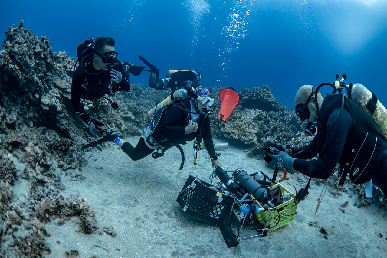 Our ocean and climate change team deploys the "diel suite" instrument package in Papa Bay. These instruments measure the daily variability in oceanic temperature, salinity, pH, oxygen, and water flow to assess environmental conditions on Hawai'i's coral reefs. This is a collaboration with Greg Asner and the Hawai'i Marine Education and Research Center. Photo: NOAA Fisheries, Hawai'i Marine Education and Research Center/Paul Cox.