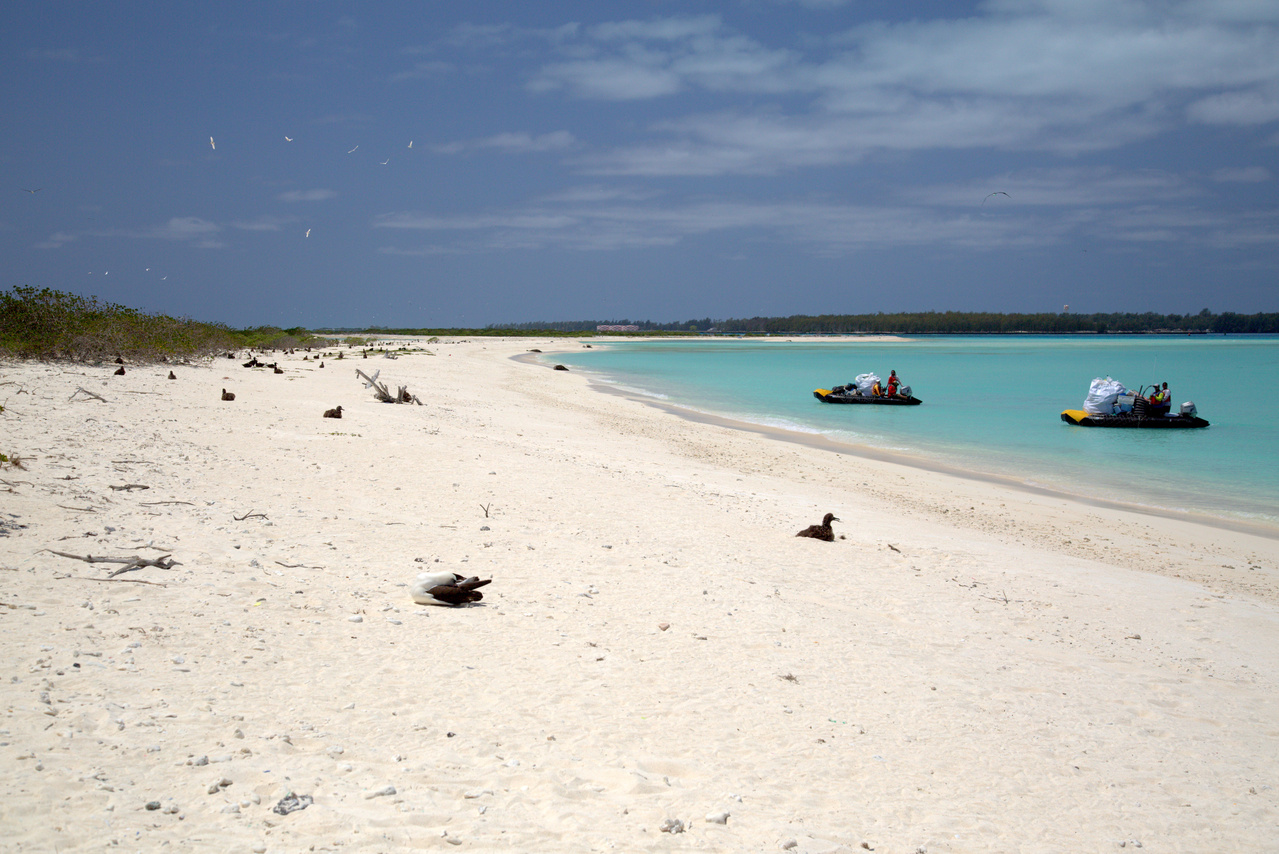 On April 19, 2016, the team removed debris from the western tip of Eastern Island. The shoreline was cleaned and both boats were fully loaded. Photo: NOAA Fisheries/Ryan Tabata