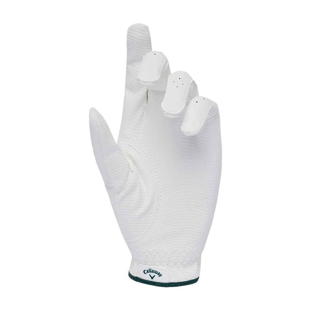 뉴 베어 우먼스