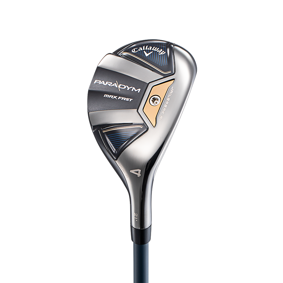 패러다임 맥스 패스트 하이브리드