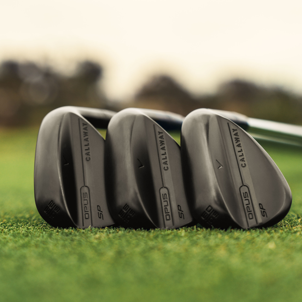 오퍼스 SP 블랙 웨지