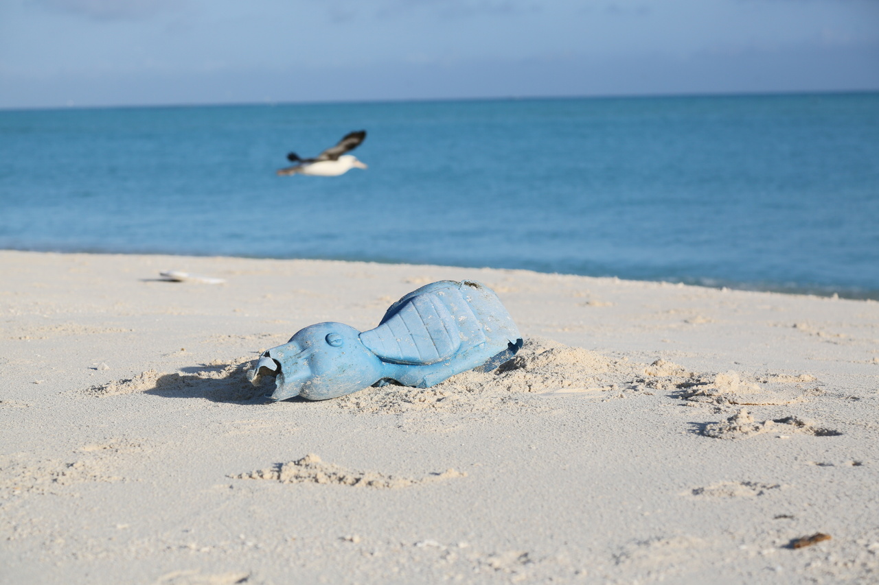 On April 13, 2016, a toy motorcycle was found on the North Beach of Sand Island, Midway Atoll. Photo: NOAA Fisheries