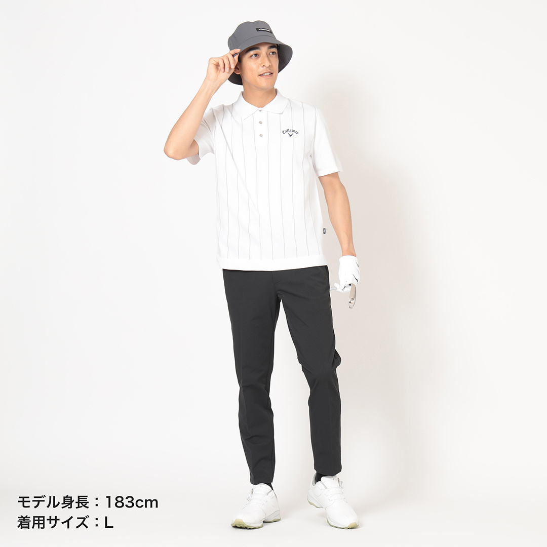 ストライプインターシャ半袖ニットポロ (MENS)