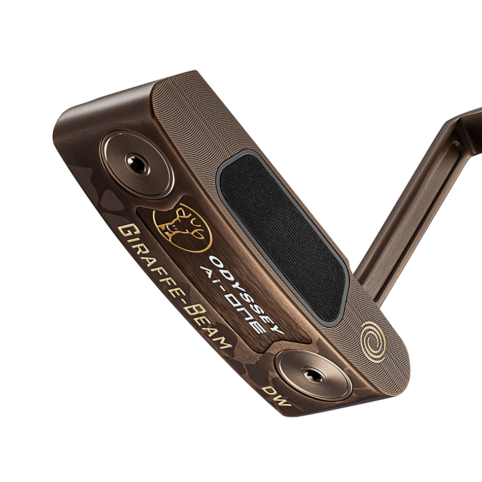 Ai-ONE 지래프(기린)빔 DW CH 퍼터