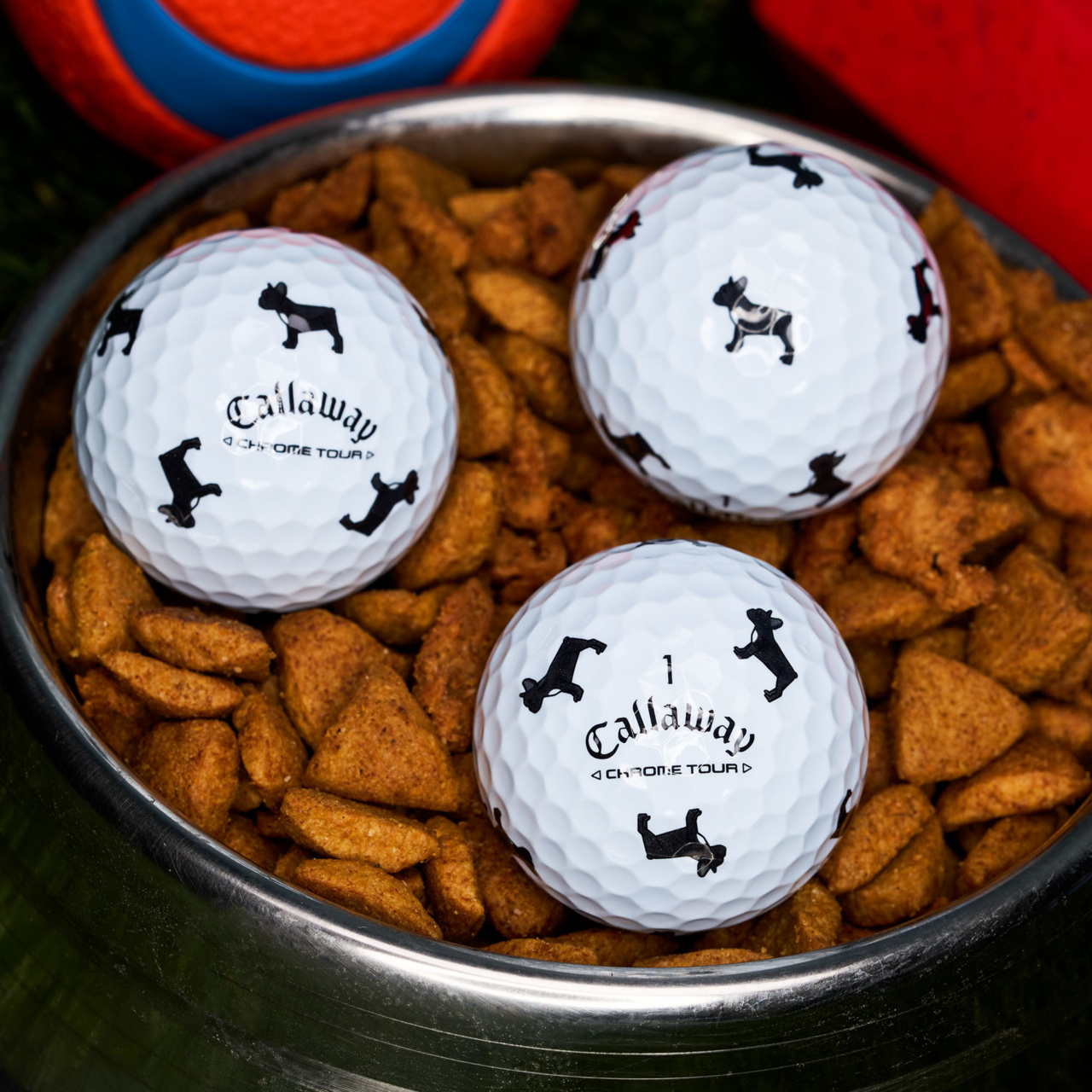 [온라인 단독] 크롬투어 트루비스 스몰독 에디션: 프렌치 블랙