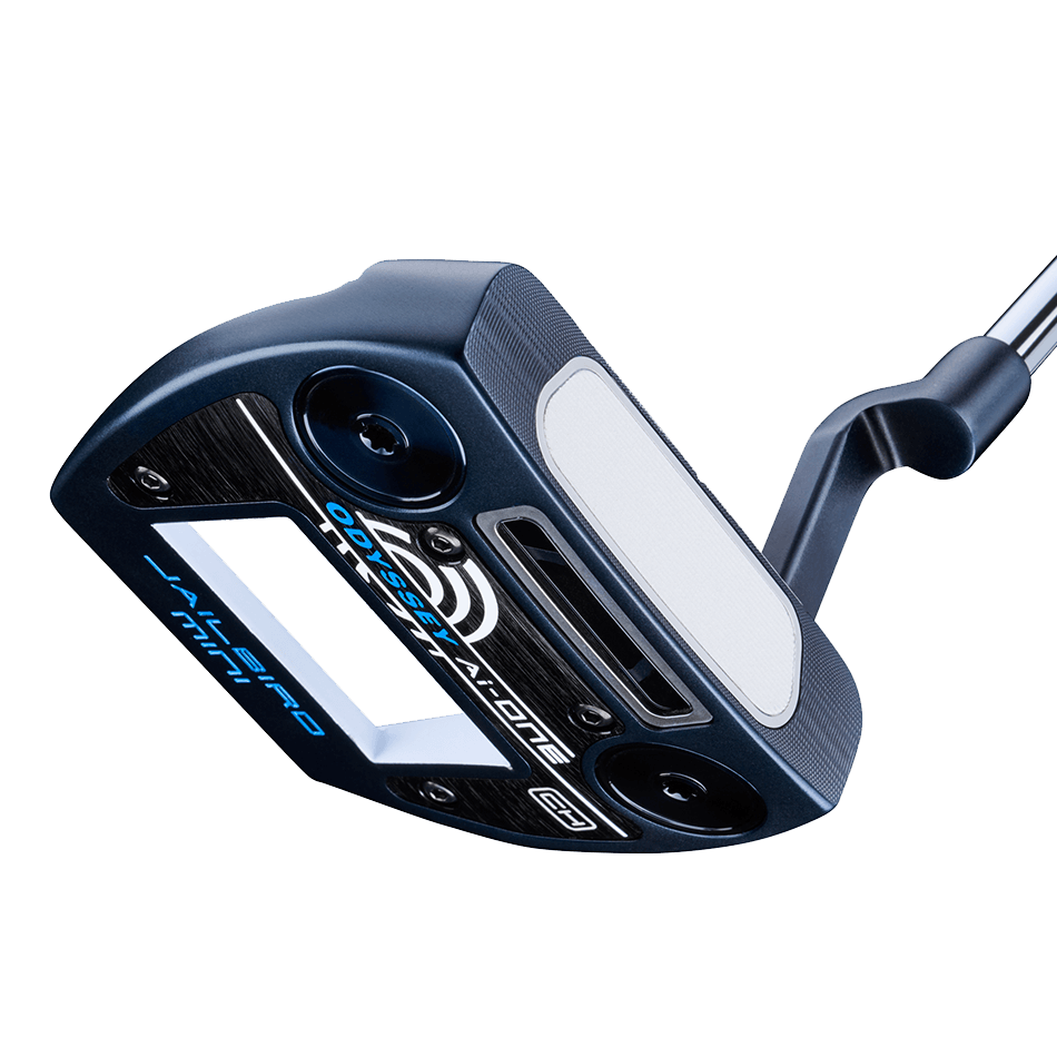 Ai-ONE JAILBIRD MINI VERSA90 CHパター