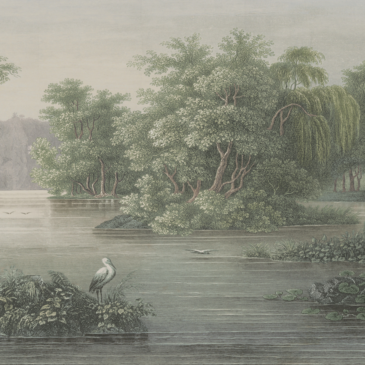 Idyllic Blooming Reed