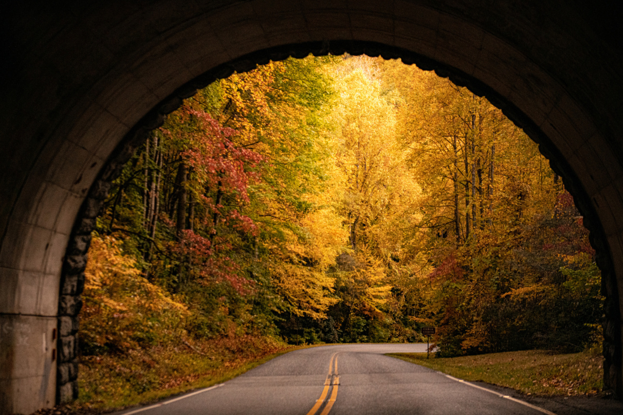 Fall season travel in Asheville, NC
