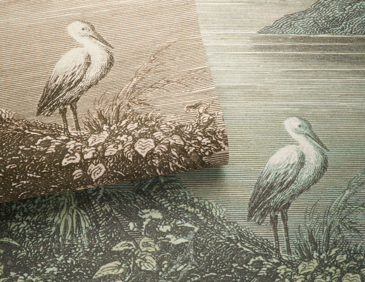 Phillip Jeffries Idyllic wallcovering