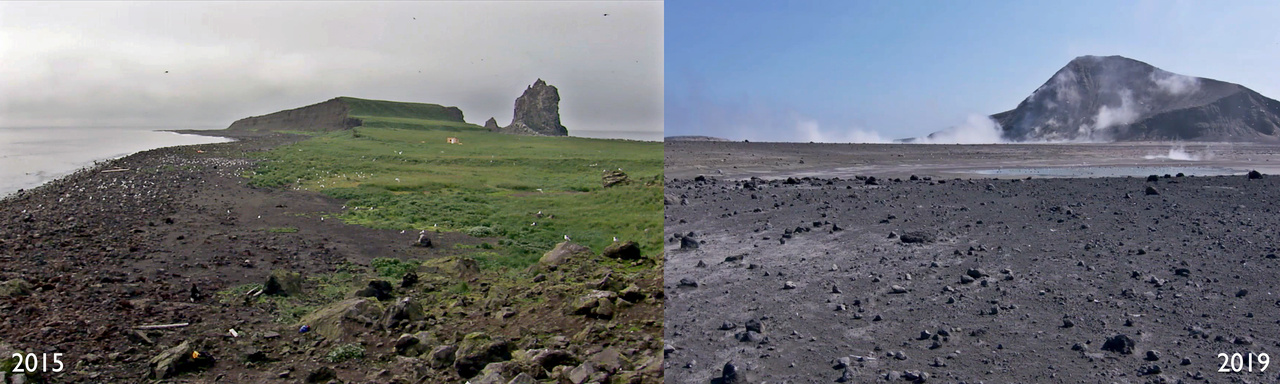 On the left, Bogoslof Island before the last eruption in 2015. On the right, Bogoslof Island in 2019.
