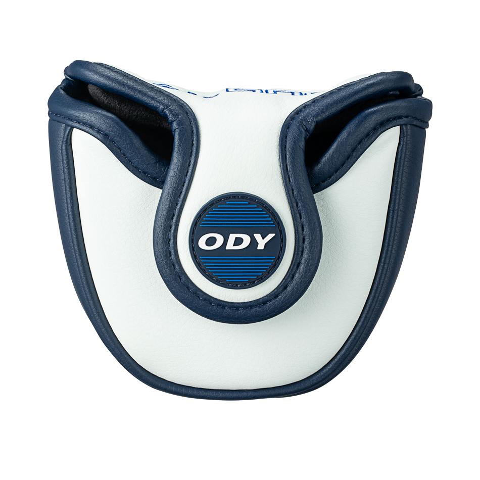 AI-ONE WING BACK パター Ai-ONE WING BACKパター