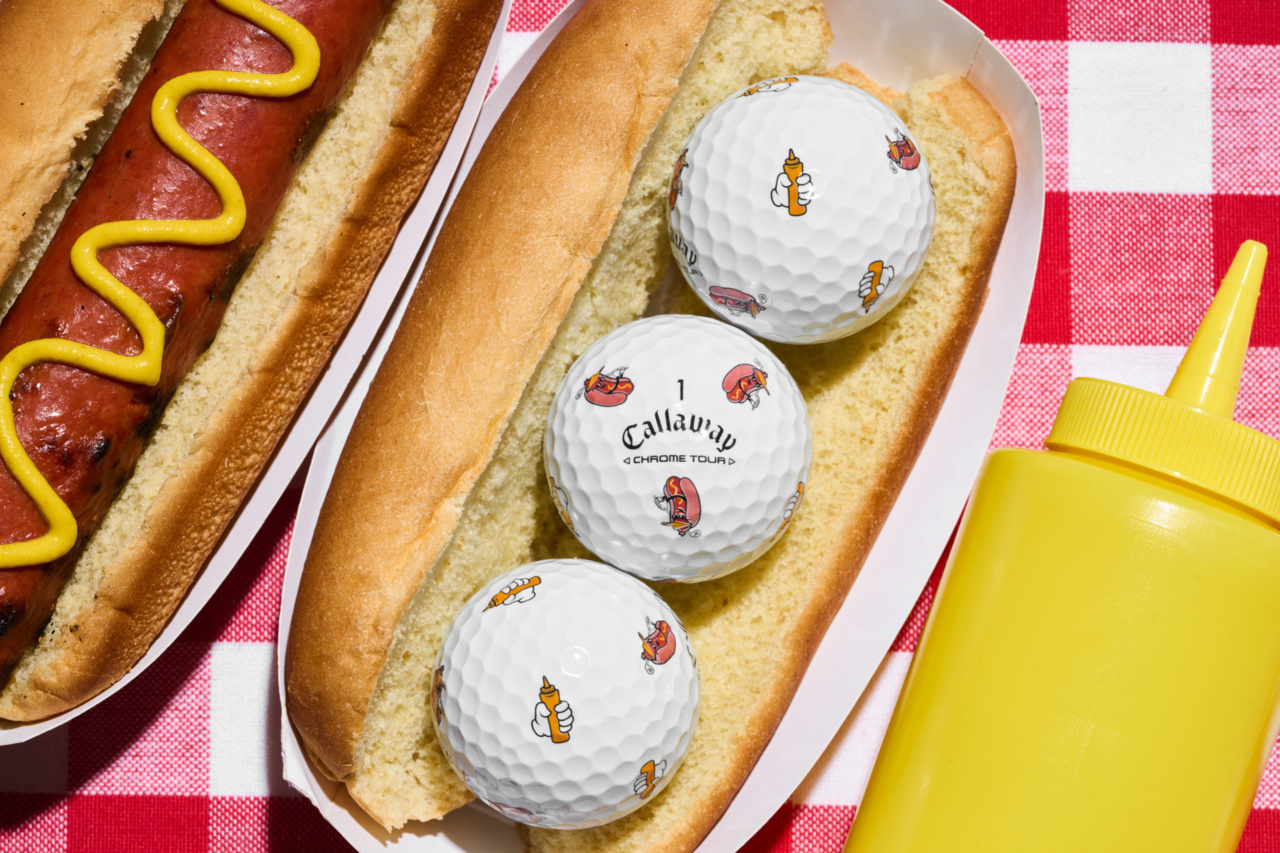 [온라인 단독] 크롬투어 트루비스 핫도그 에디션