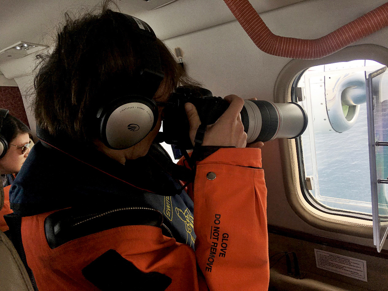 Observers photograph sightings to gather images for identification of individual whales and mark- recapture analysis, which can be used in abundance estimates and life history studies.