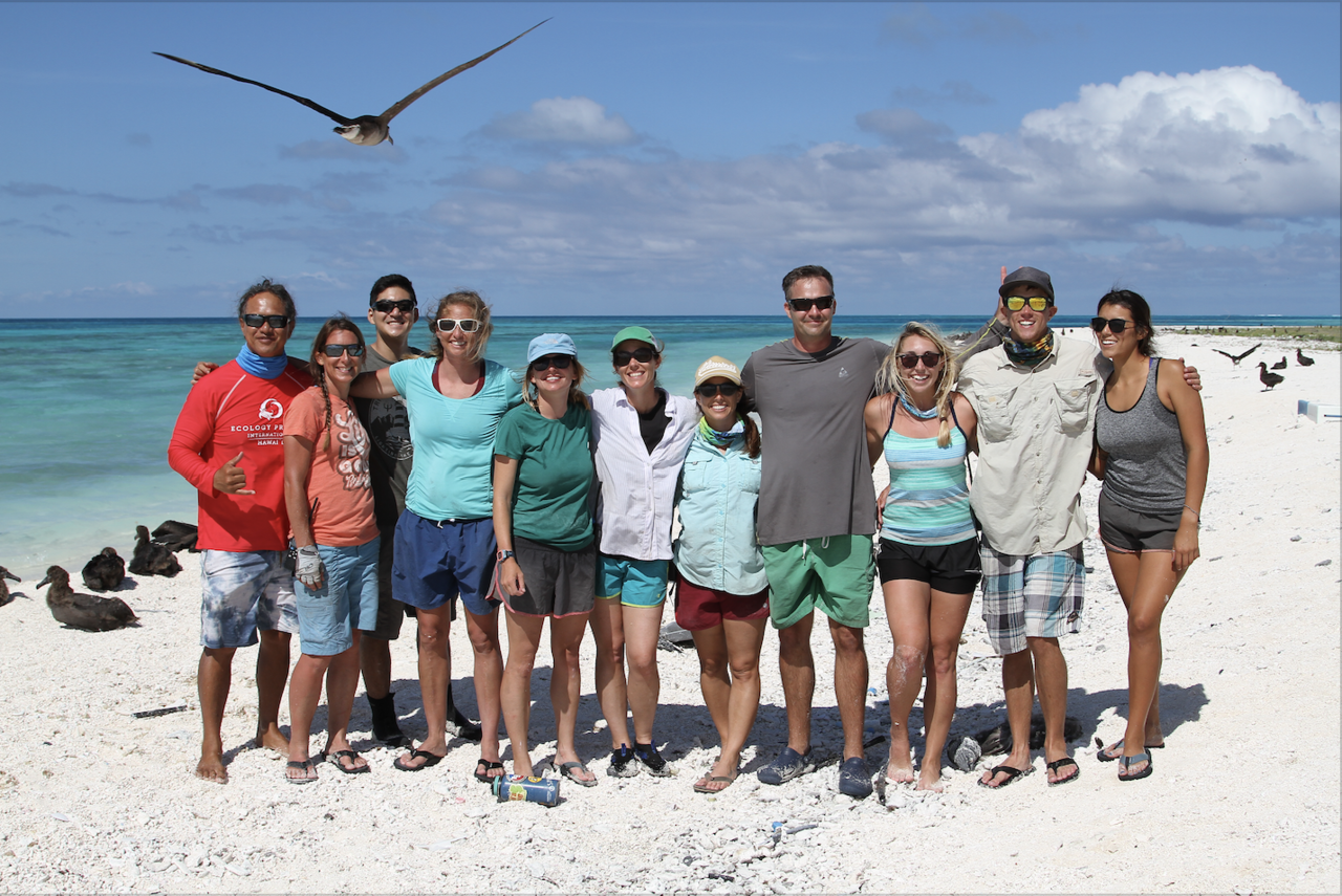 Eleven people lined up on beach with alabtross flying above.