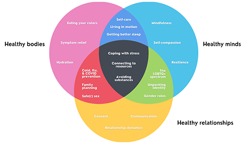 a ven diagram consisting of healthy bodies vs healthy minds vs healthy relationships