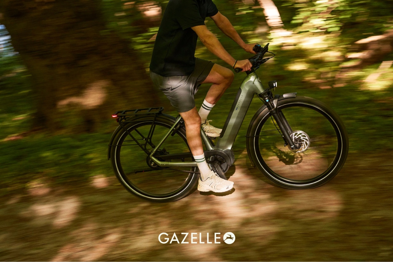 Gazelle Ultimate electric bike